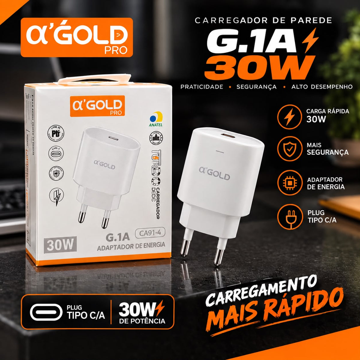Carregador CA31-4