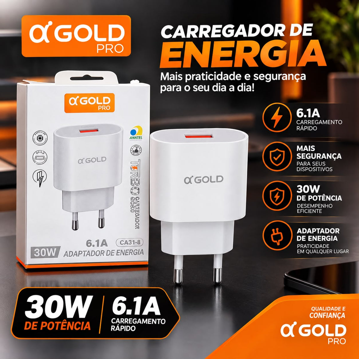 Carregador CA31-8